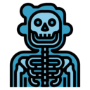 medical,healthcare and medical,bones,diagnosis,x ray,skeleton,radiography,radiology